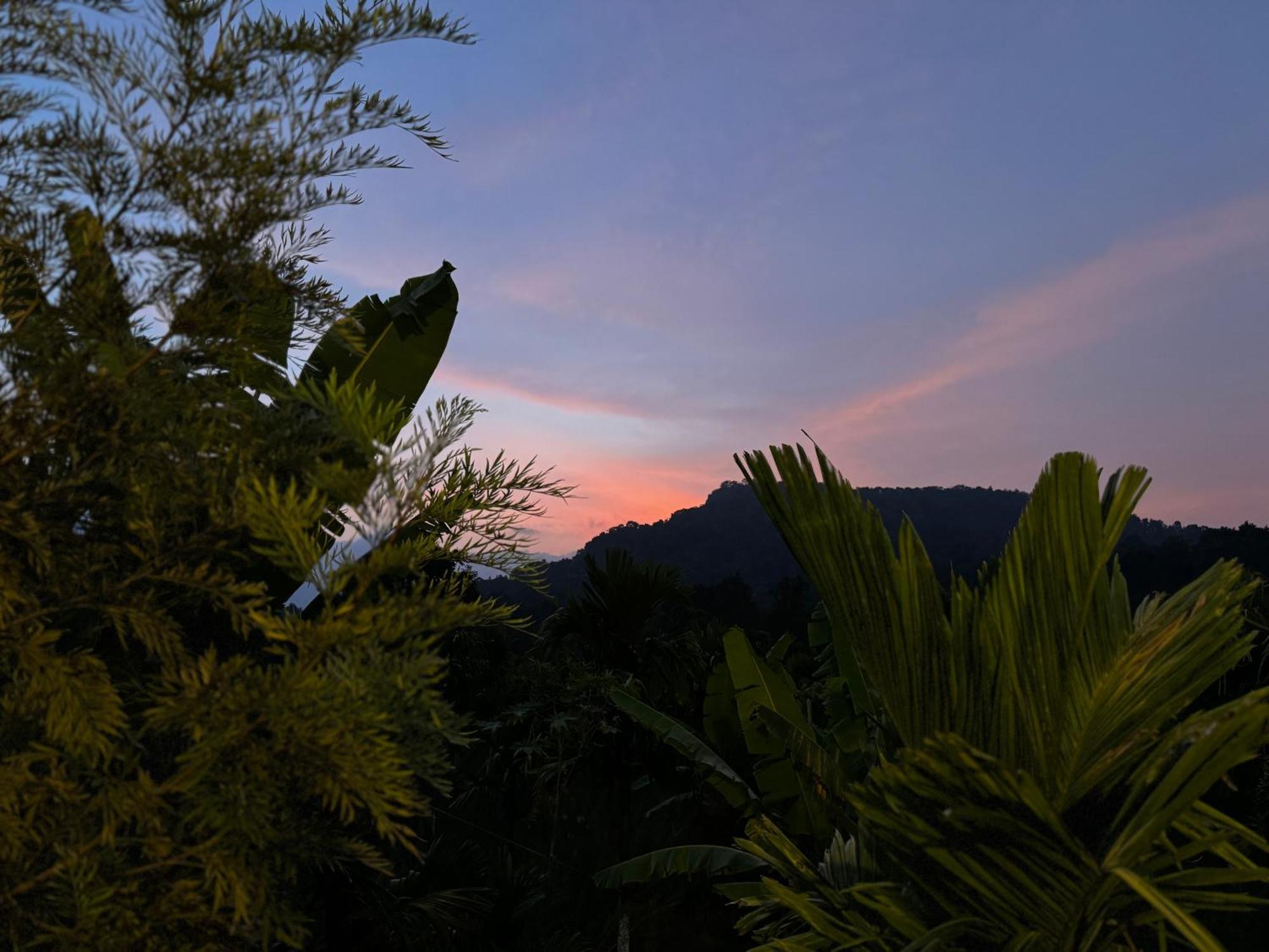 Bendheka - Cliff Front Cottages Coorg Gonikoppal Zewnętrze zdjęcie